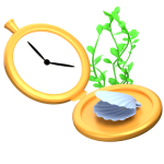 Button icon